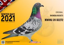 NWHU 20 D2272